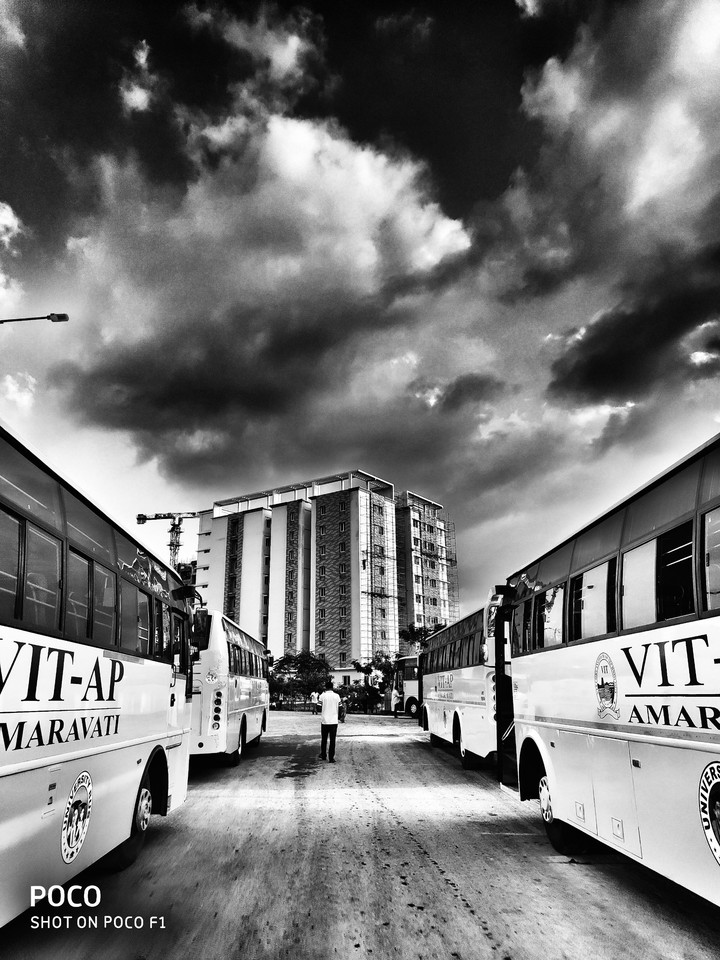 the world through black and white
