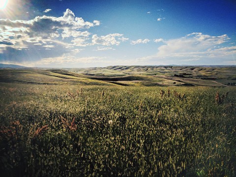 Wyoming