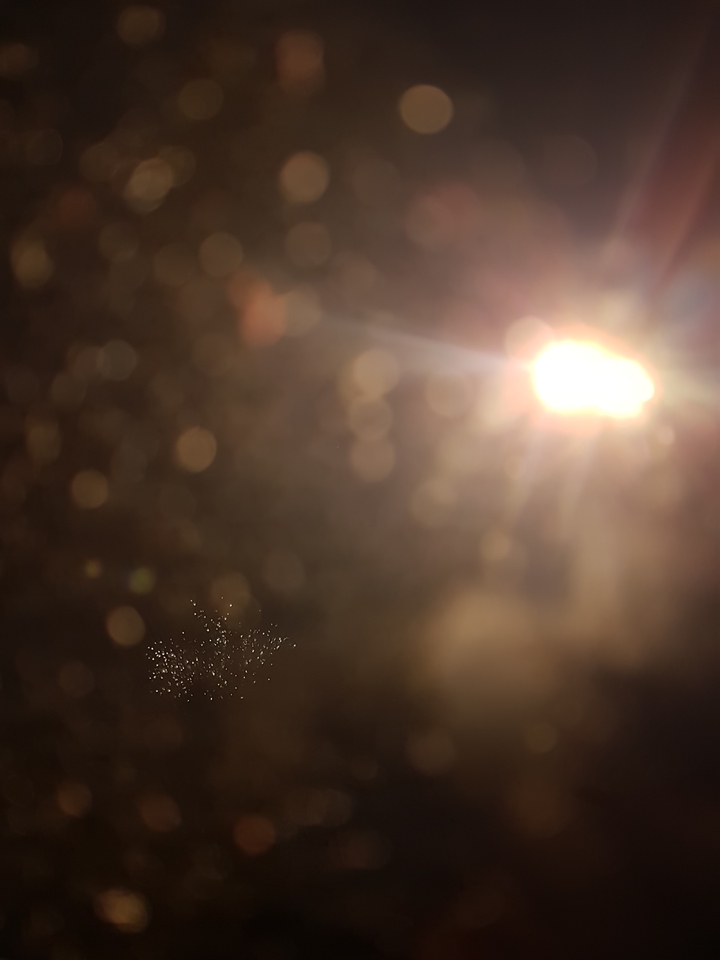 Magic