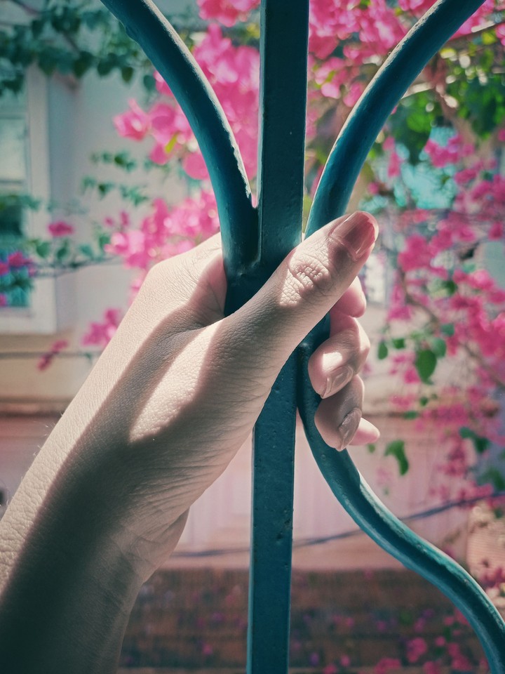hand