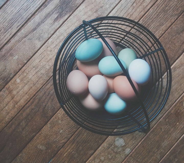 egg
