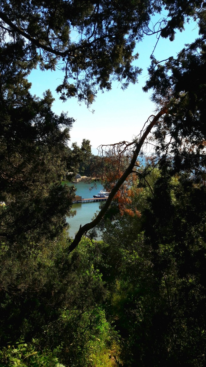 Büyükada❤