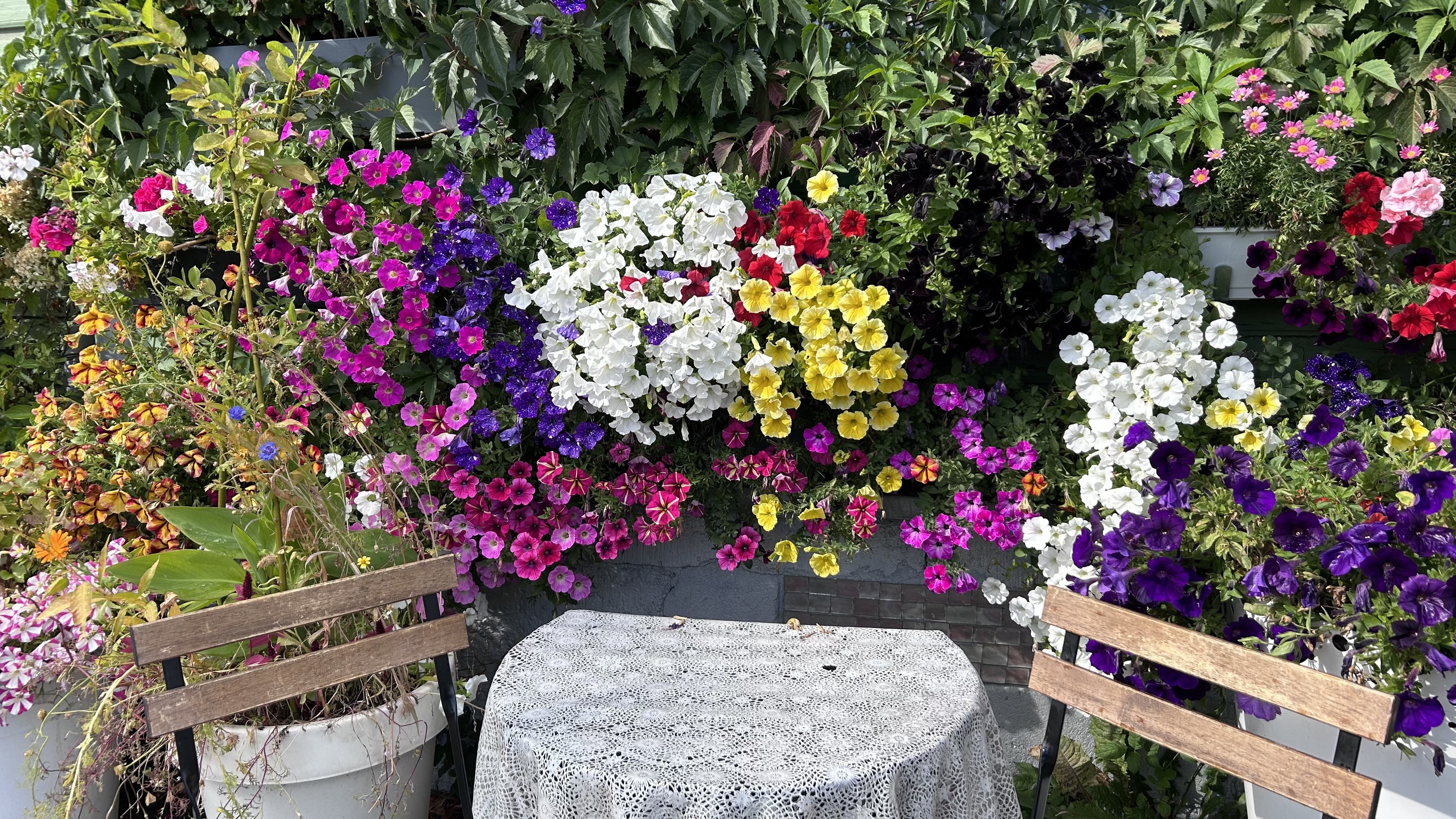 тапети Garden, petal