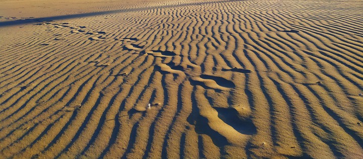 Playa