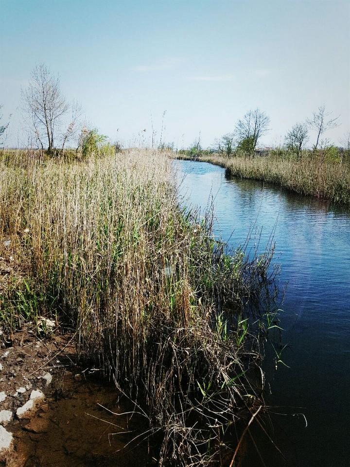 river