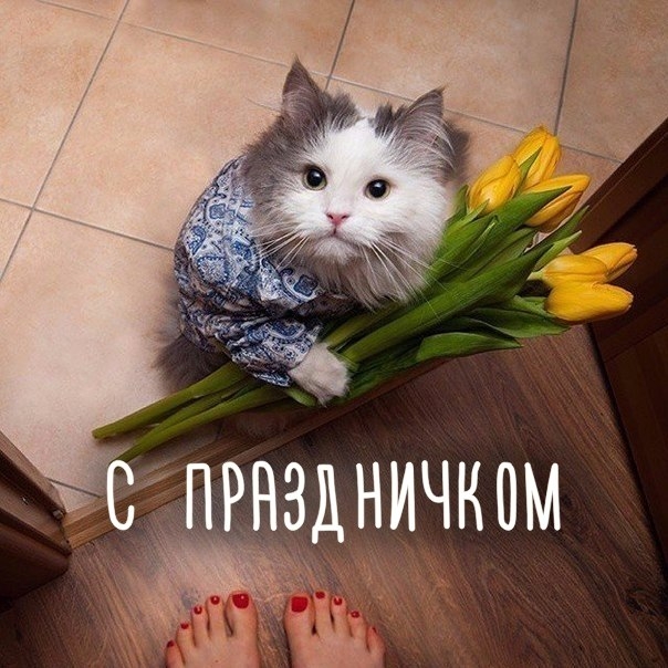 tom