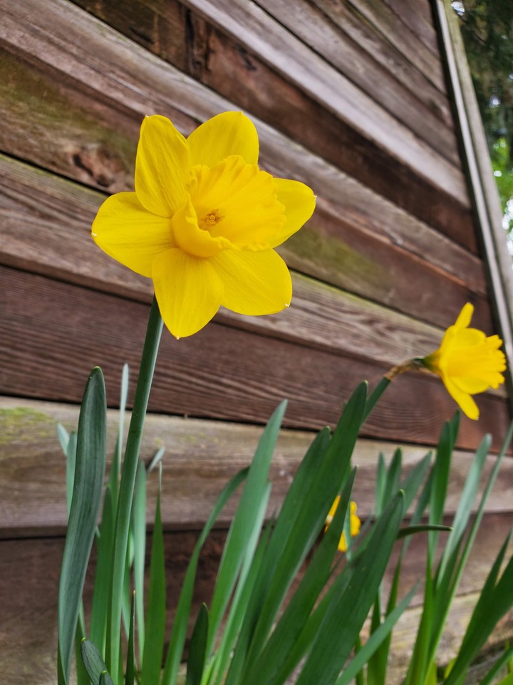 The Spring is Coming!