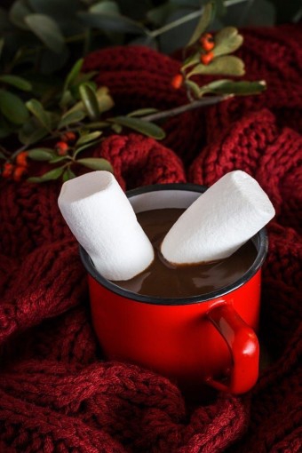 Cocoa marshmallow