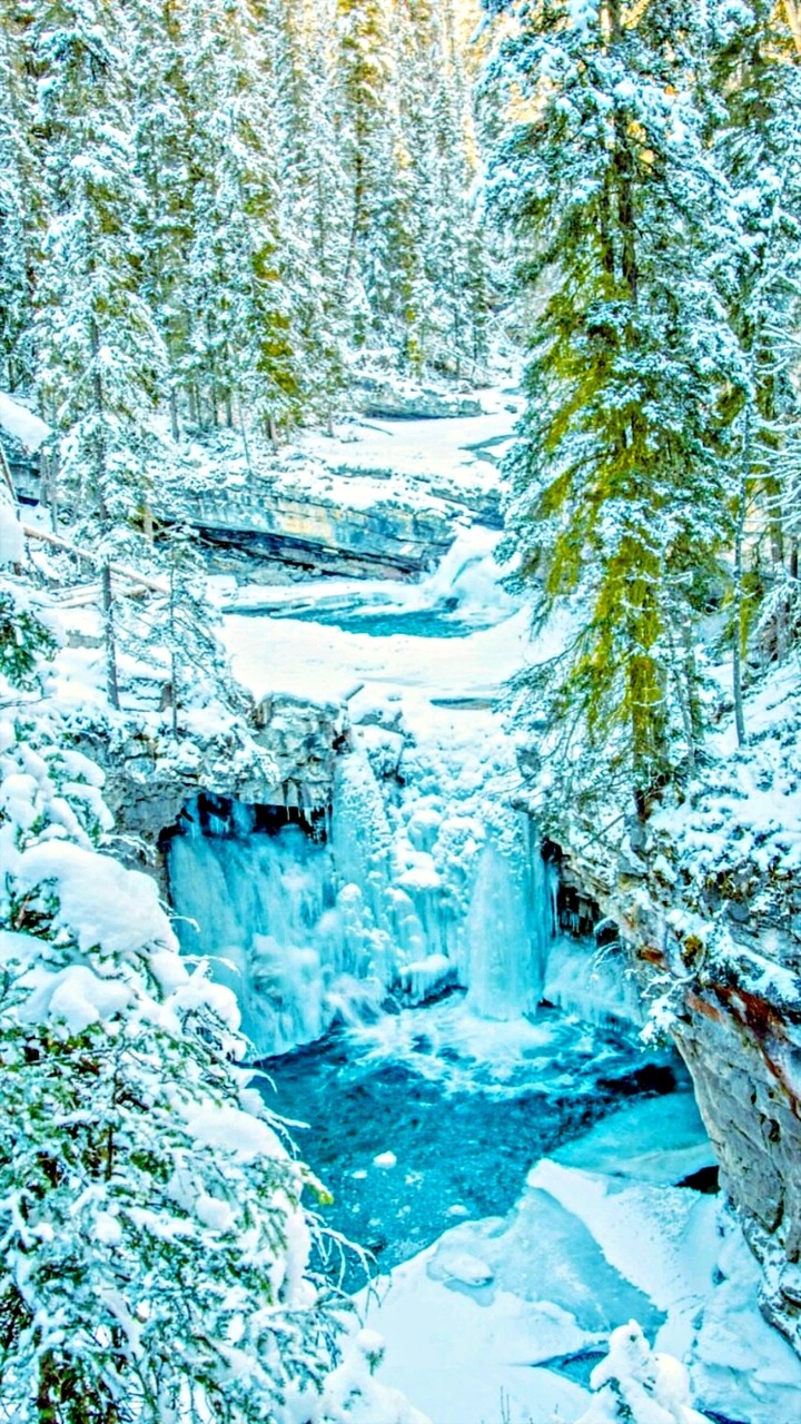 neiges