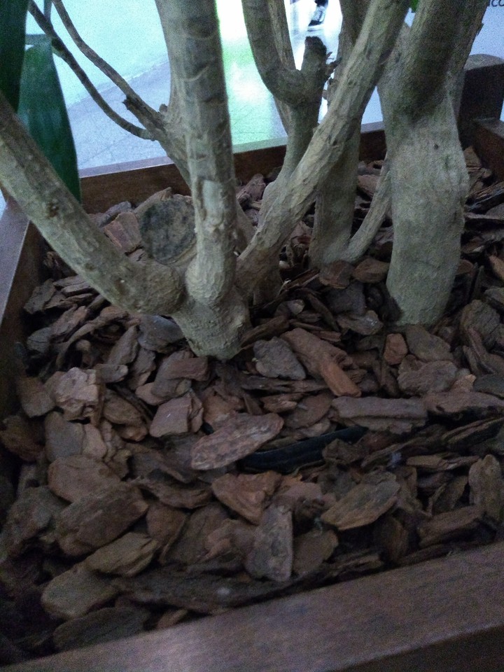 PEDRA DE JEARDIM