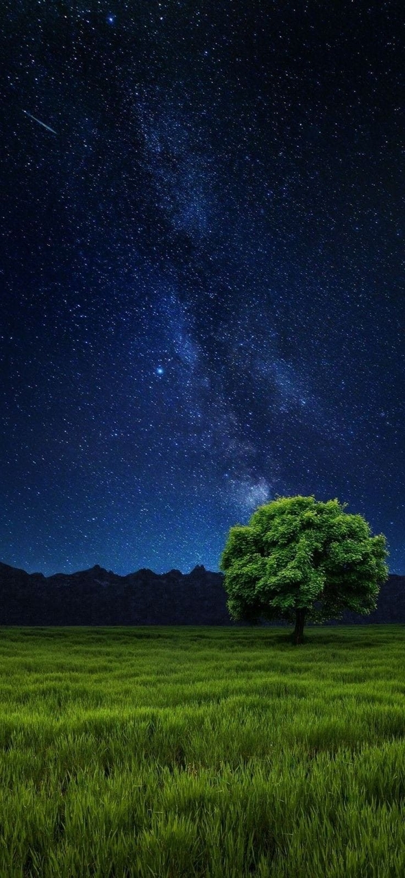 fondos de pantalla Midnight, Science