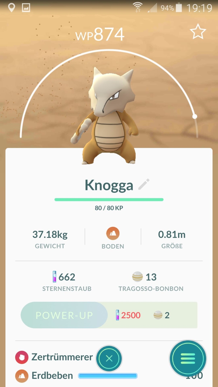 knoga