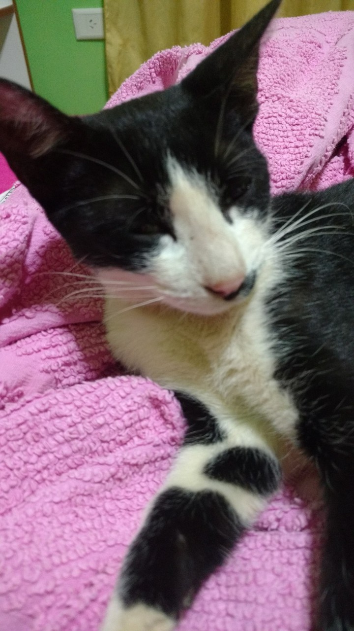 mili
