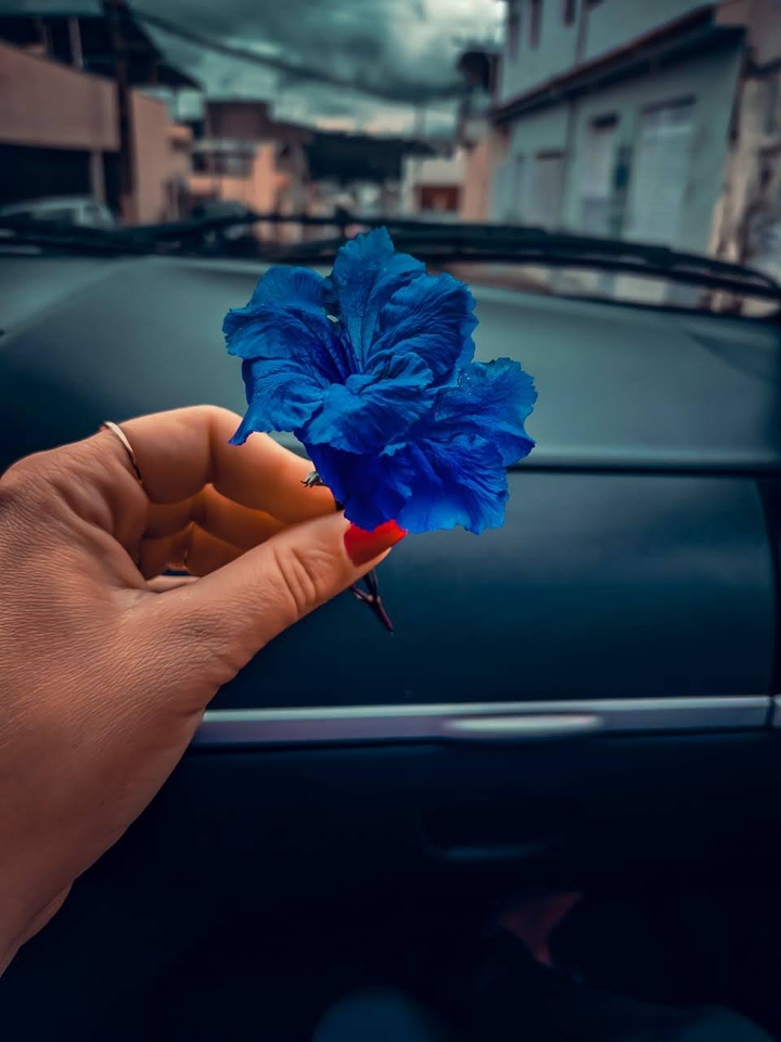 flor