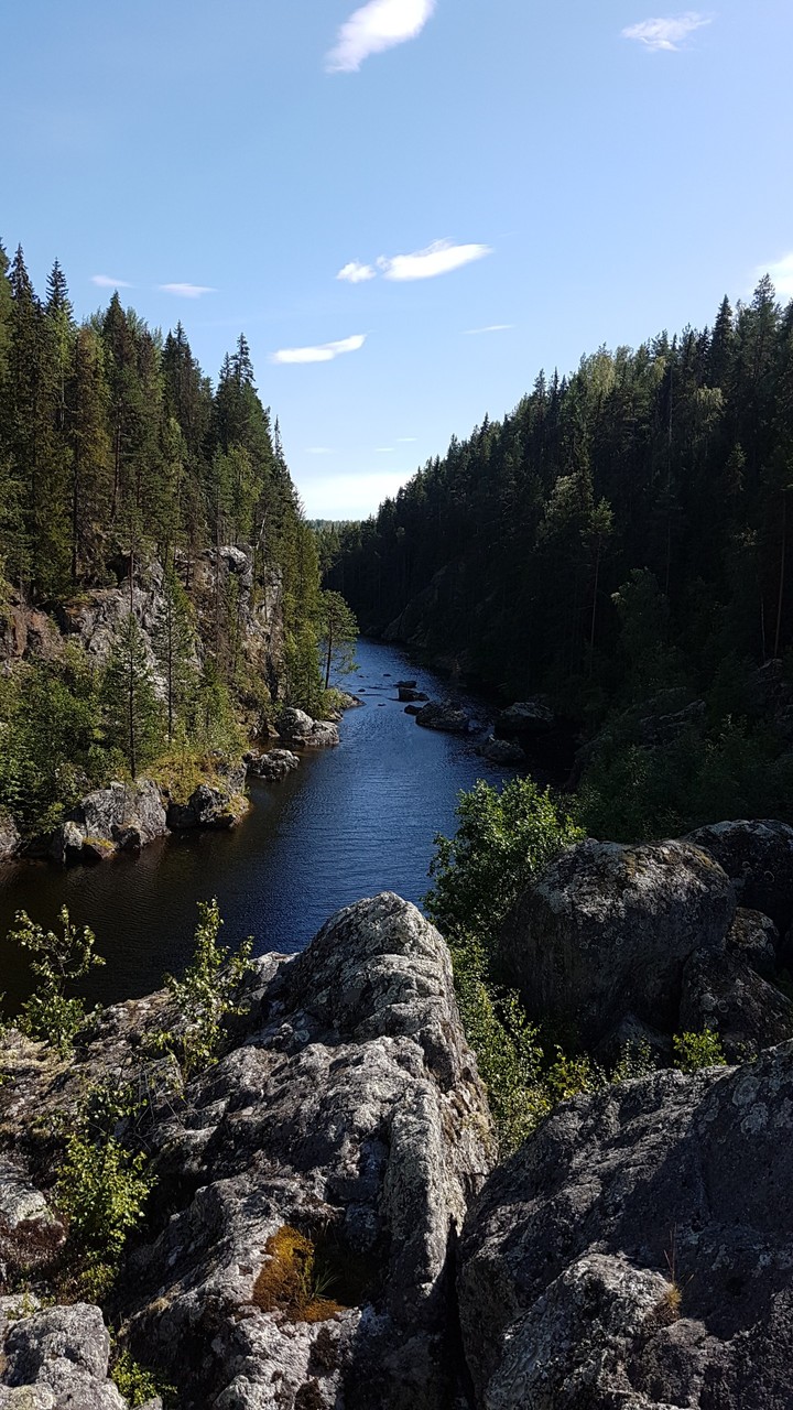 nature
