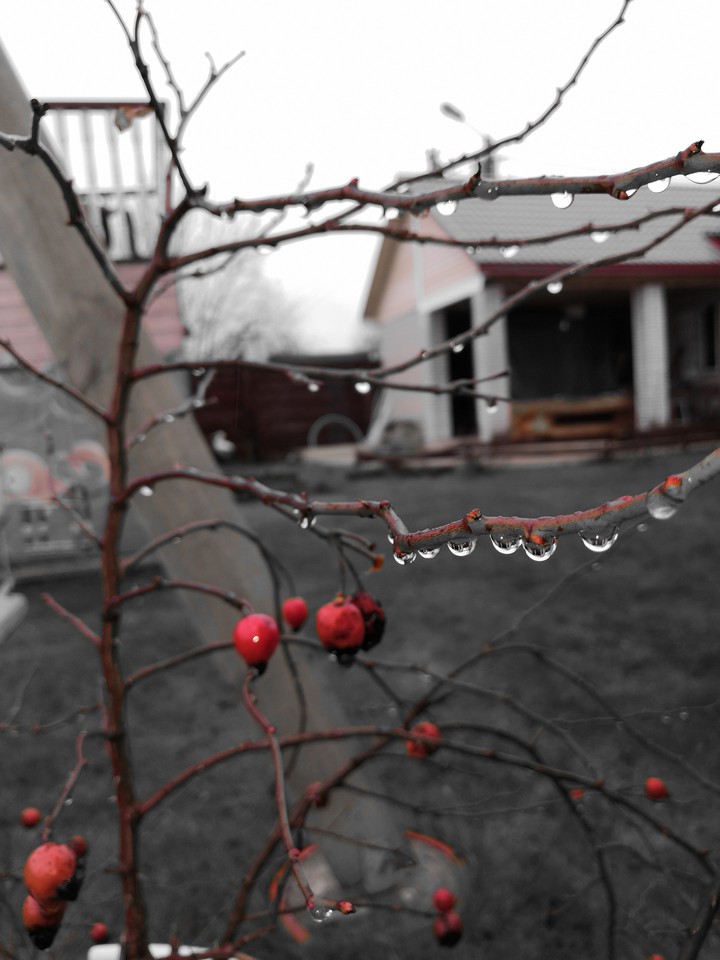 Природа
