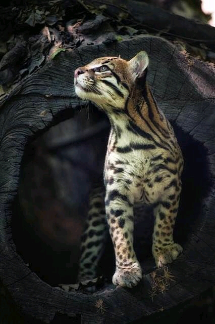 ❤