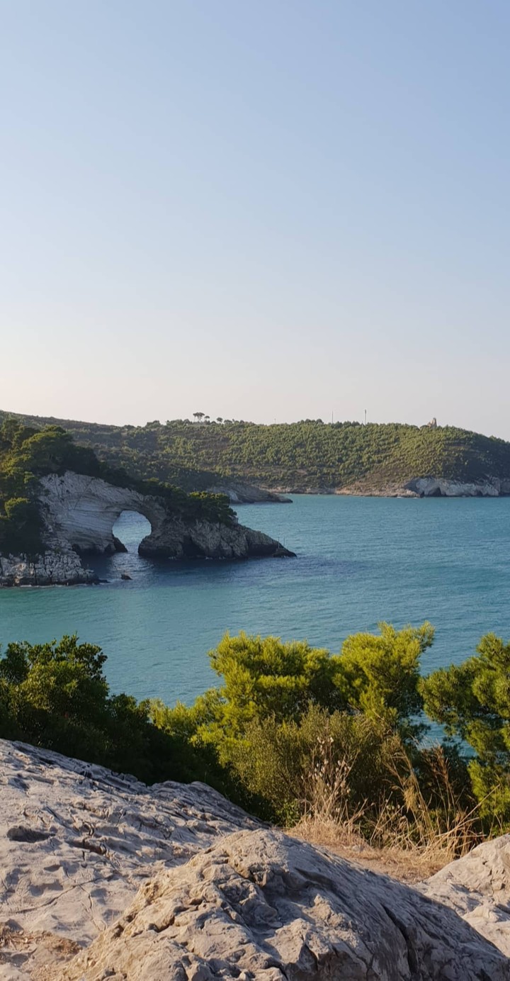 Gargano su tela