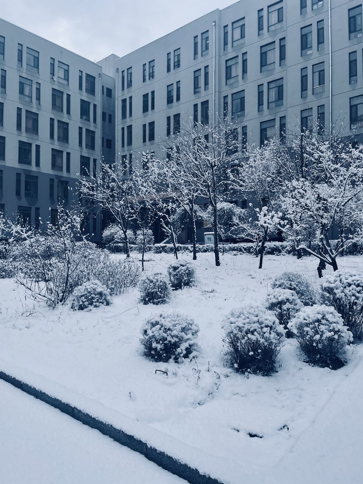 #snow