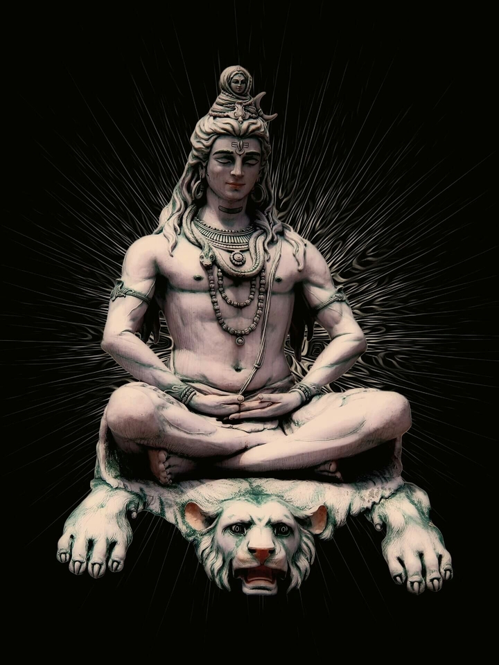 shiv