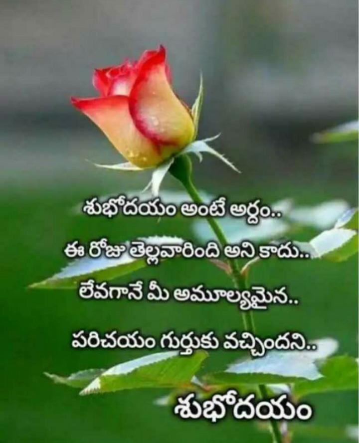 Good morning