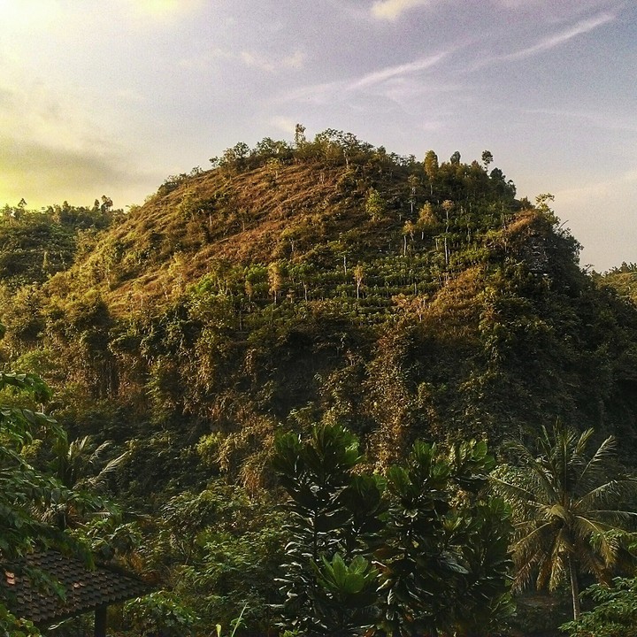 The Hill