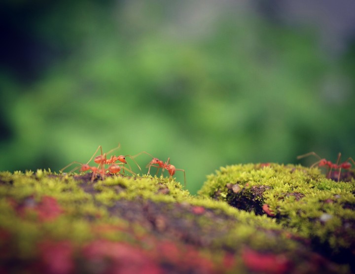 #photography #nikon #d5200
