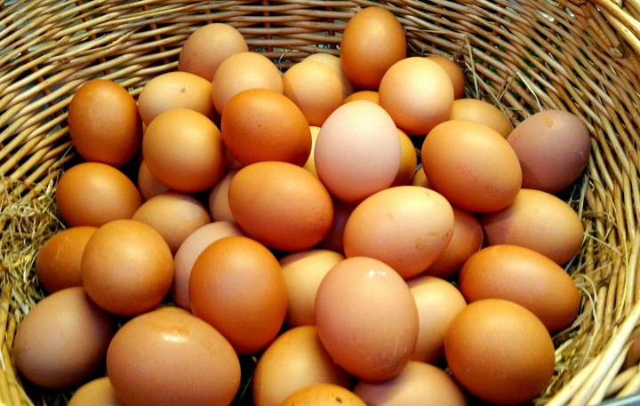 eggs tray