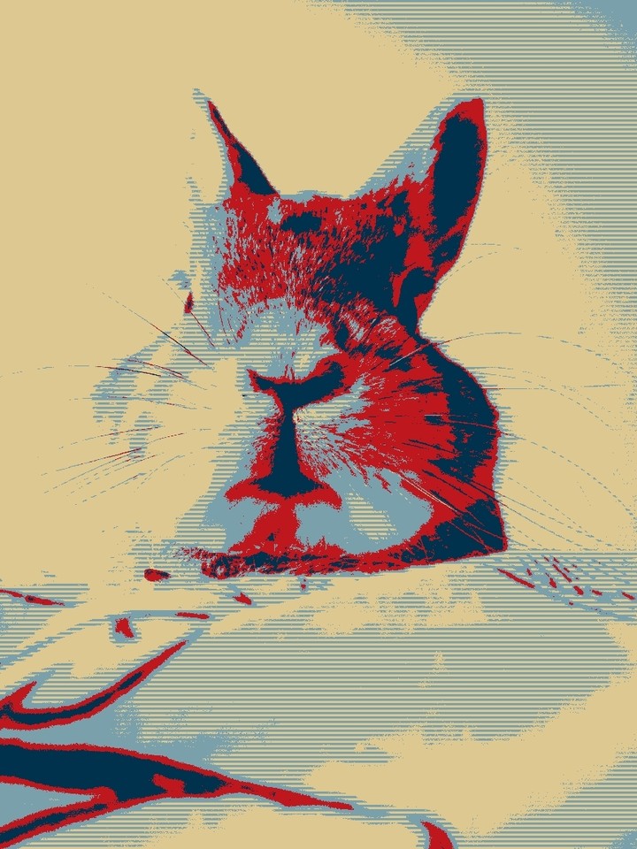 Harley