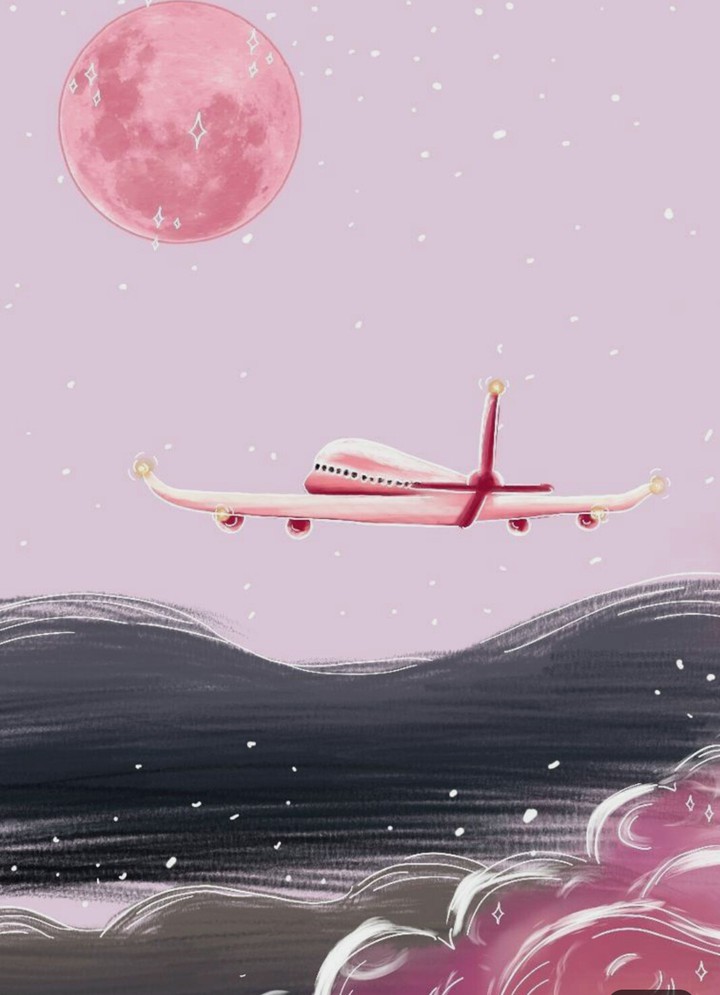 ✈