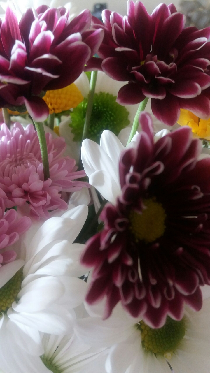 fresh flowers 2