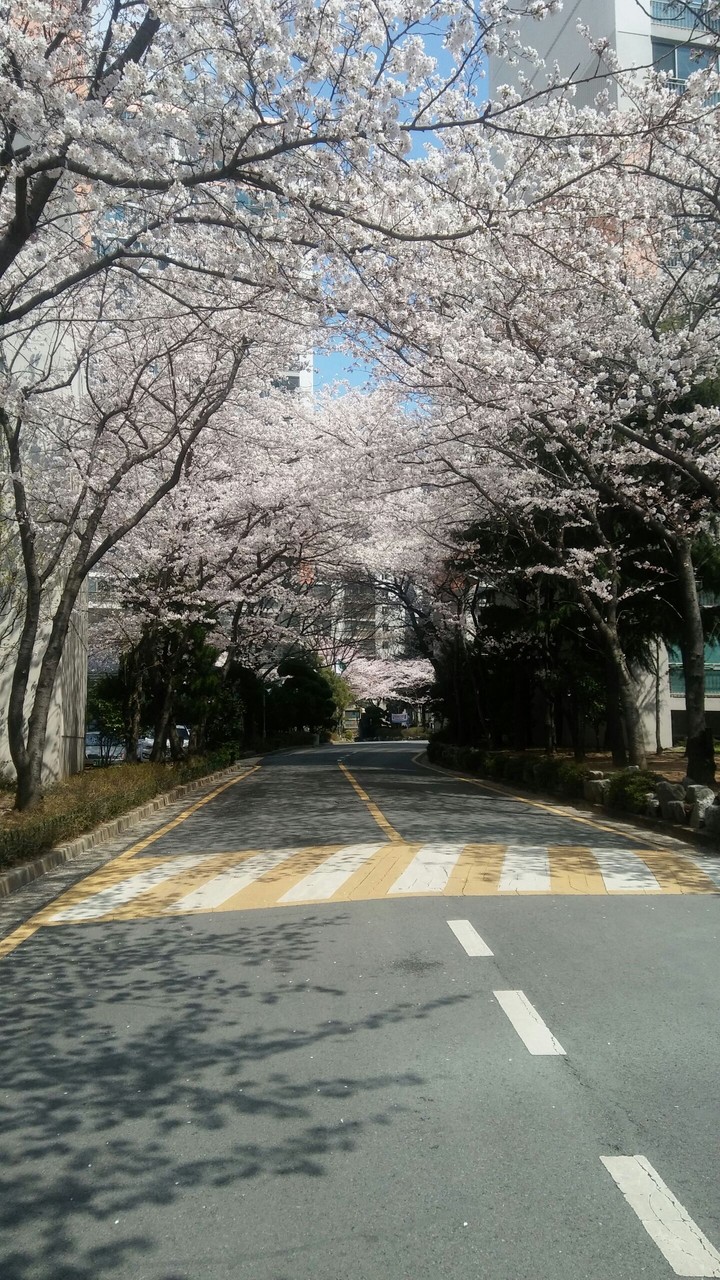 사렁