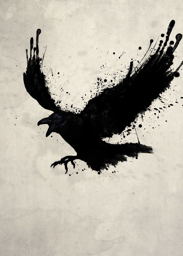 Blackbird