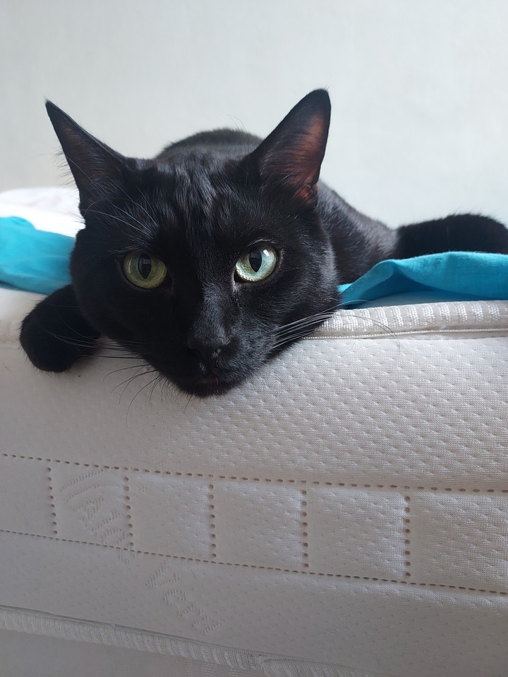 Rocky