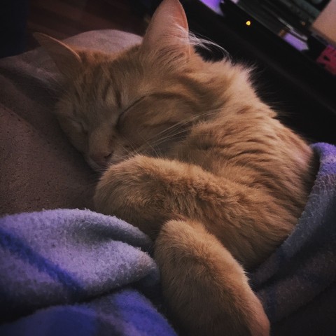 sleep