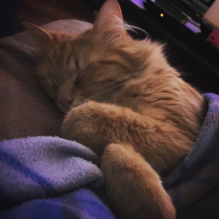 sleep