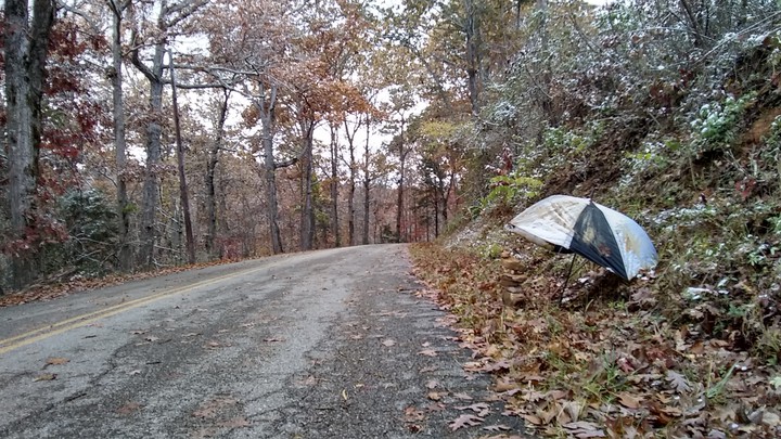 surprise on the side of the road