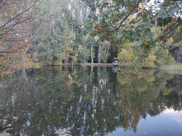 #Enchanted Forest