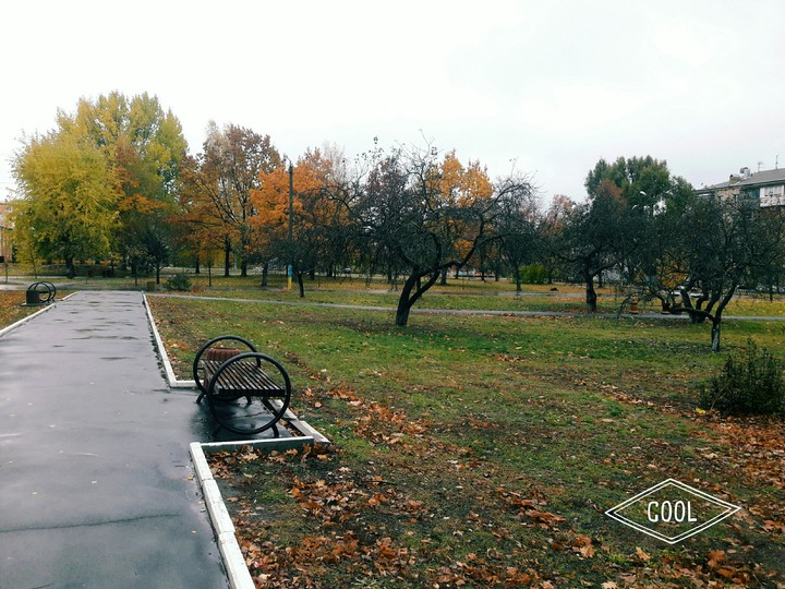 fall