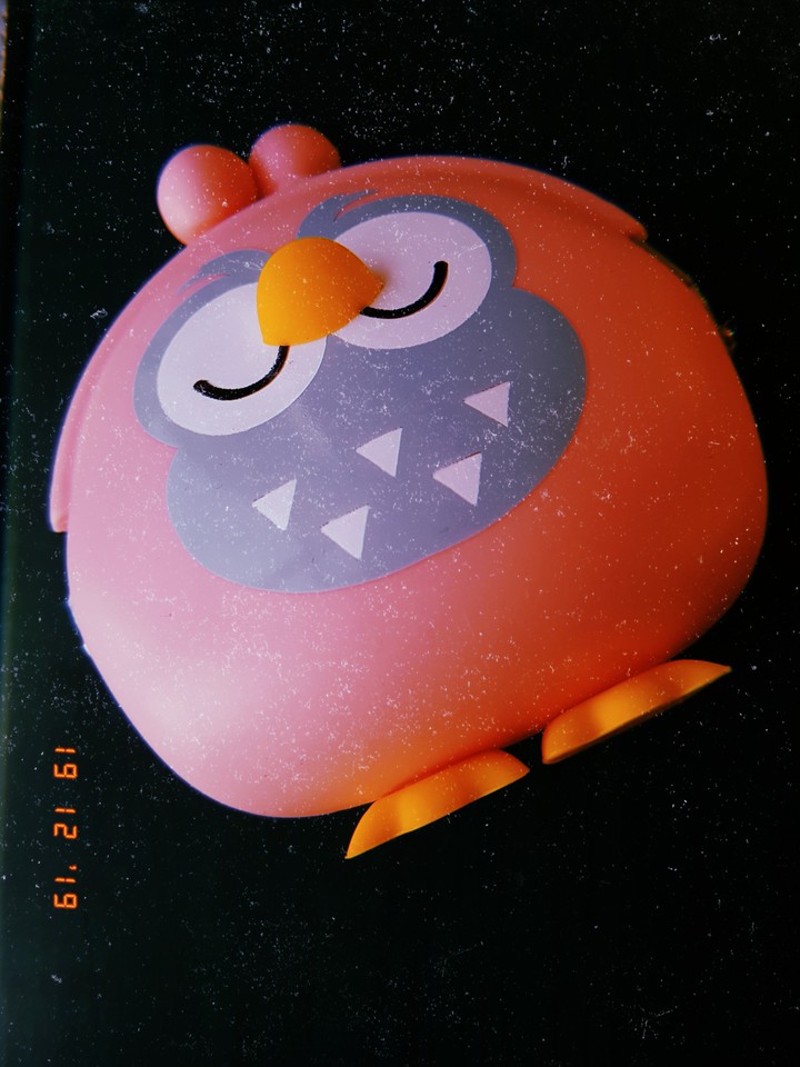 owl