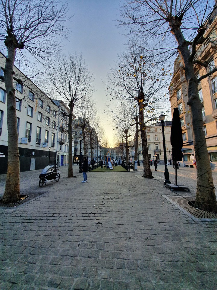 Brussels nature