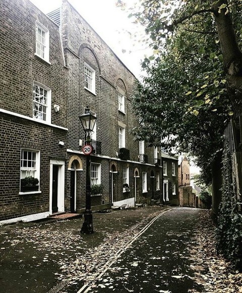 tree, Street duvar kağıtları