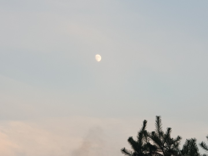 moon?