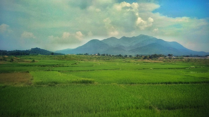 Mountain