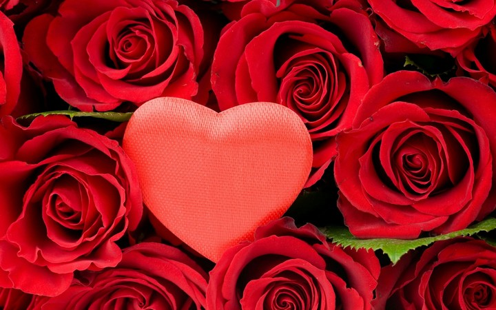 Roses and Heart