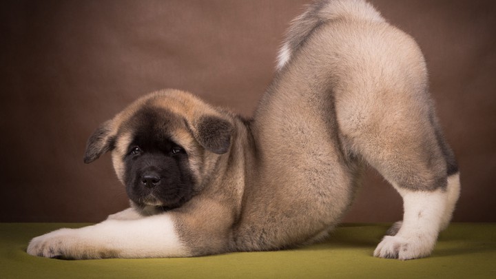 very cute...