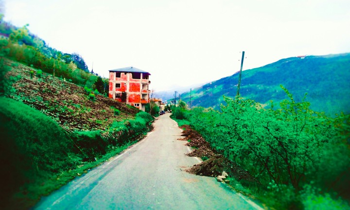 mountains
