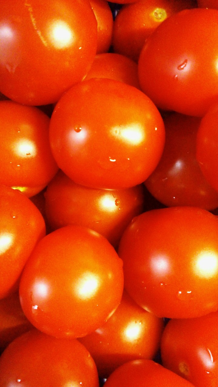 tomatoes