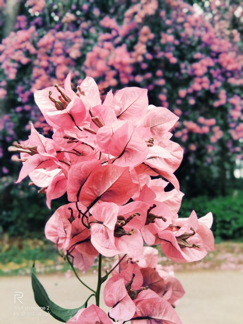 captured while traveling