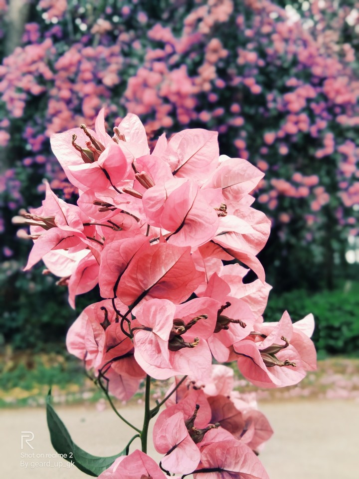 captured while traveling